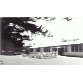 Narrabeen Infants School