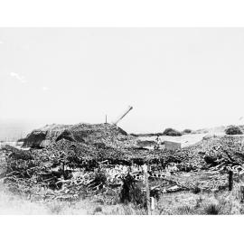 Artillery gun at North Head.