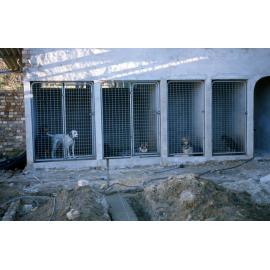 Warringah Dogs' Home, Ingleside