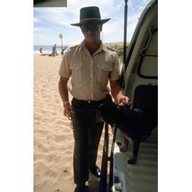 Warringah Council ranger catching dog on Dee Why Beach