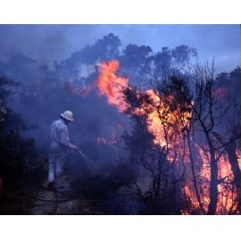 Warringah firefighter in action