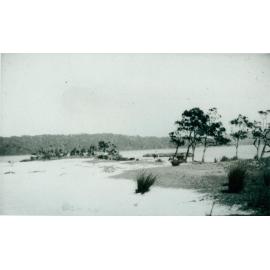 Narrabeen Lagoon near Wimbledon Avenue