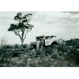 Elanora Heights and Warringah Shire Council's first power lines.