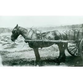 Construction at Narrabeen Public School 